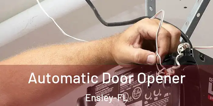  Automatic Door Opener Ensley-FL