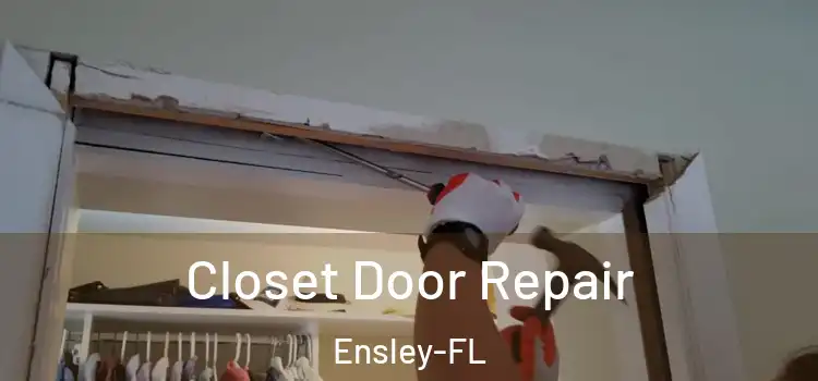 Closet Door Repair Ensley-FL