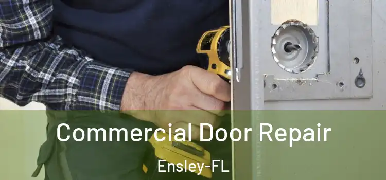 Commercial Door Repair Ensley-FL