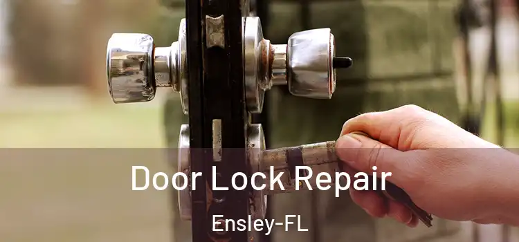  Door Lock Repair Ensley-FL