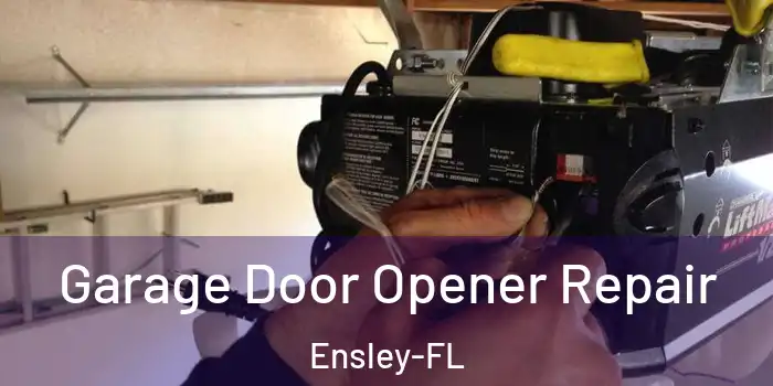 Garage Door Opener Repair Ensley-FL