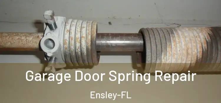  Garage Door Spring Repair Ensley-FL