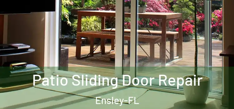  Patio Sliding Door Repair Ensley-FL