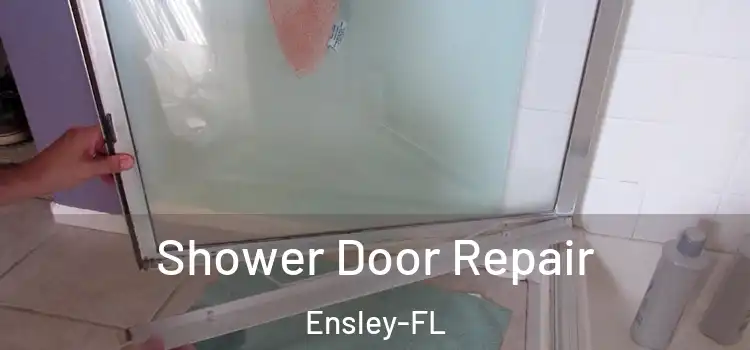  Shower Door Repair Ensley-FL