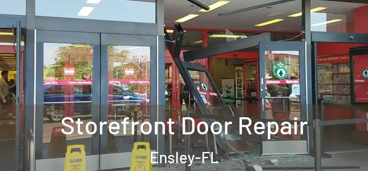  Storefront Door Repair Ensley-FL